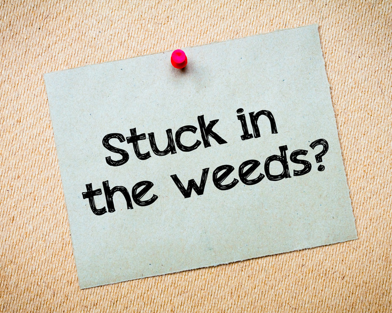 The Cost of a Leader Being Stuck in the Weeds