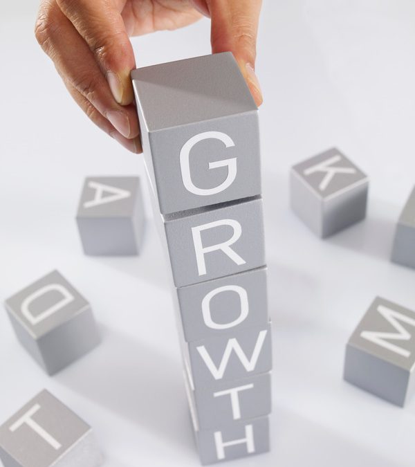 Are You Overlooking This Crucial Aspect of Company Growth?